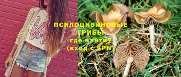 дмт Краснослободск