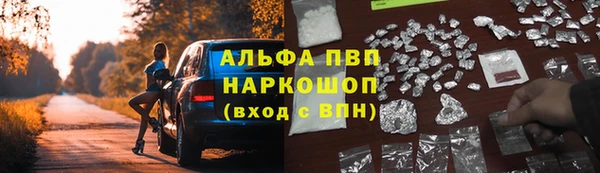 дмт Краснослободск