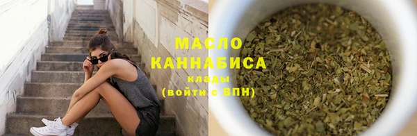 дмт Краснослободск