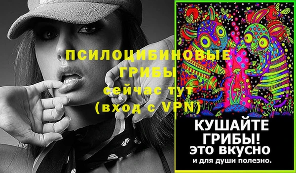 дмт Краснослободск