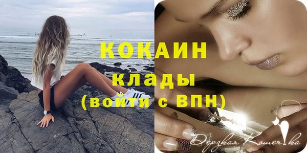 дмт Краснослободск
