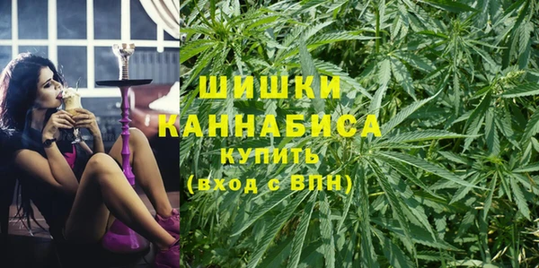 дмт Краснослободск