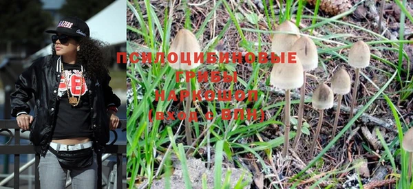 PSILOCYBIN Красноперекопск