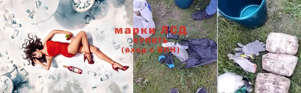 PSILOCYBIN Красноперекопск